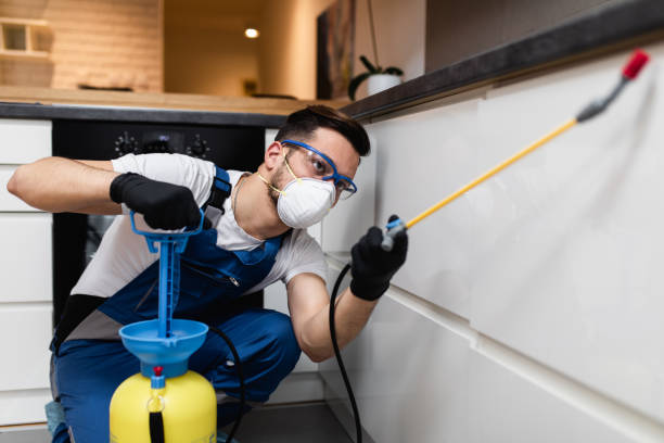 Best Wildlife Control Services  in Rangely, CO