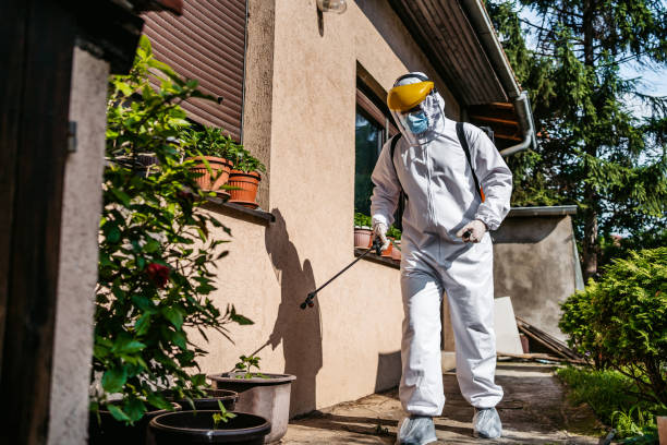 Reliable Rangely, CO Pest Control Solutions