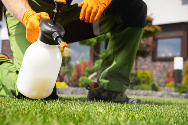 Best Local Pest Control Services  in Rangely, CO