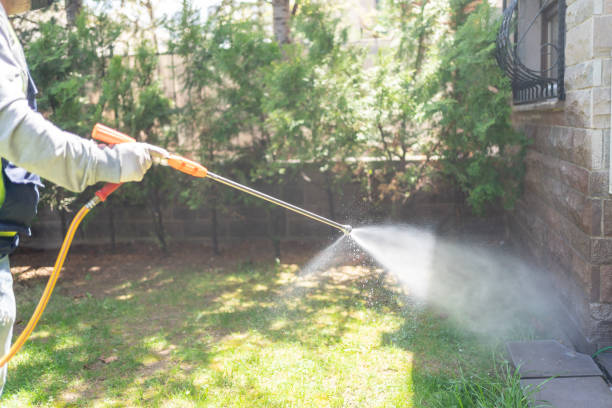 Best Pest Control for Homes  in Rangely, CO