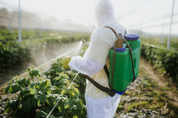 Reliable Rangely, CO Pest Control Solutions